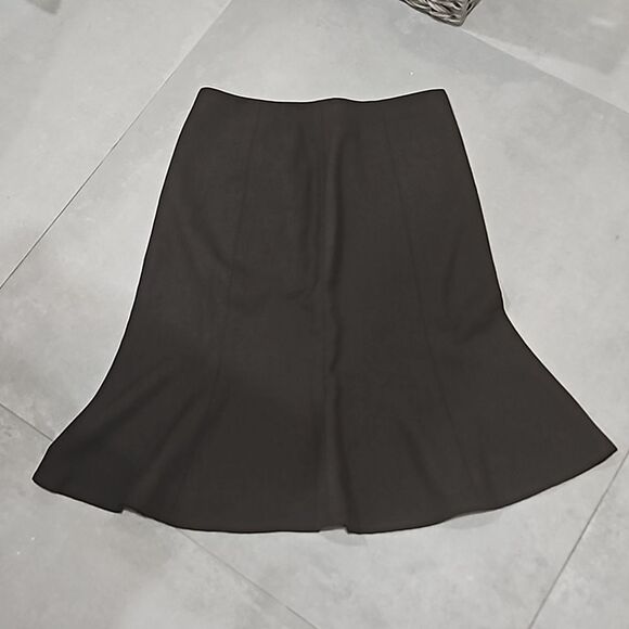 The Limited Skirt - Picture 1 of 3